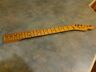 Neck.squire.tl-354 2-tl-354-zp Fender Telecaster