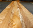 8647 Buzzsaw International Tiger Spalted Maple Wood Bass Guitar Neck Blank