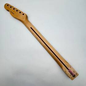 24106 Fender American Professional Telecaster Rosewood Neck