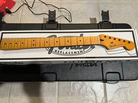 Fender 885978801824 Player Plus Stratocaster Maple Neck 2023