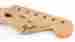 Gn-4373 Stratocaster Standard Fender 1995 Mexico Guitar Neck