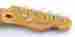 Gn-4463 Modern Player Telecaster Plus Fender 2014 Guitar Neck W Tuners
