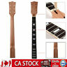 Gs404 Unbranded Guitar Neck Mahogany Wooden Rosewood Fingerboard Handle Replaceme