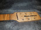 Slant6 Guitarsbydesign Single Scale Slant Fret Guitar Neck Prototype Snakehead Usa