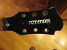 Vertigo Fernandes Guitar Neck
