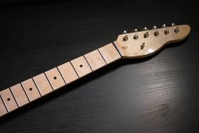 Xgp Xgptn2s Mcg Loaded Maple 22 Fret Te Style Neck Stainless Steel Frets