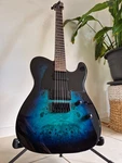 Esp Ltd TE-200DX Electric Guitar Blue Burst Flame Maple. Fixed Price $576.71.