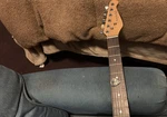 Reynolds Black Solid Body Strat-style 6-STRING Rh Electric Guitar. Fixed Price $110.00.