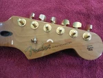 Fender Stratocaster Mim Roasted Maple Neck W/gold Logo Locking Tuners. Fixed Price $269.00.