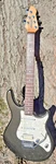 Peavey Predator Plus Titanium Metalflake Guitar Locking Tuners Factory Pups. Fixed Price $159.99.