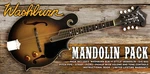Washburn M3EK F-style Electric Mandolin Starter Pack Tobacco Sunburst. Fixed Price $499.99.