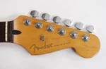 Fender Standard Stratocaster Rosewood Neck & Tuners American? Mexico Mim?. Fixed Price $199.99.