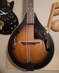 Ibanez Mandolin M510-OVS Vintage Sunburst,. Fixed Price $125.99.