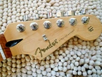 Genuine Fender Player Stratocaster Fau Ferro Neck 9.5 Radius 22 Fret & Tuners. Fixed Price $279.00.