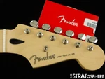 Fender Jimmie Vaughan Stratocaster Neck + Tuners Maple "v". Fixed Price $359.99.