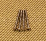 001-8369-049 (4) Genuine Fender Guitar Slotted Tele Neck Plate Mounting Screws. Fixed Price $15.00.