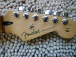 Fender Player Stratocaster Pau Ferro Neck 9.5 Radius 22 Fret With Tuners. Fixed Price $249.95.