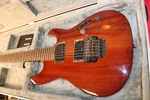 Ibanez S520 Electric Guitar 6 String 24 Frets Right-handed. Fixed Price $449.00.