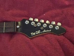 Aria Pro Ii The Cat Electric Guitar Neck 22 Frets Rw Fretboard Loaded Tuners. Fixed Price $131.99.