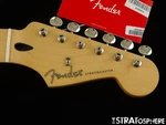 Fender Jimmie Vaughan Stratocaster Neck + Tuners Mn, Maple "v". Fixed Price $382.49.