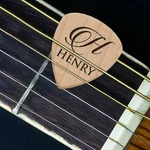 Custom Engraved Guitar Pick. Fixed Price $14.99.