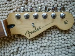 Fender Player Stratocaster Pau Ferro Neck 9.5 Radius 22 Fret With Tuners. Fixed Price $264.95.