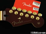Fender Tash Sultana Stratocaster Neck & Gold Tuners, Modern Shape Maple.. Fixed Price $449.99.